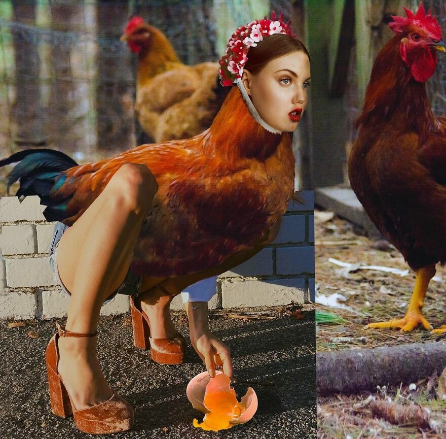 Looking At These Funny Collages, You're Going To Get A Brain Cramp (33 New Photos)