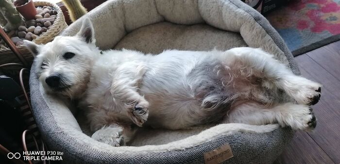 # 12 Let's Rest The Legs ..