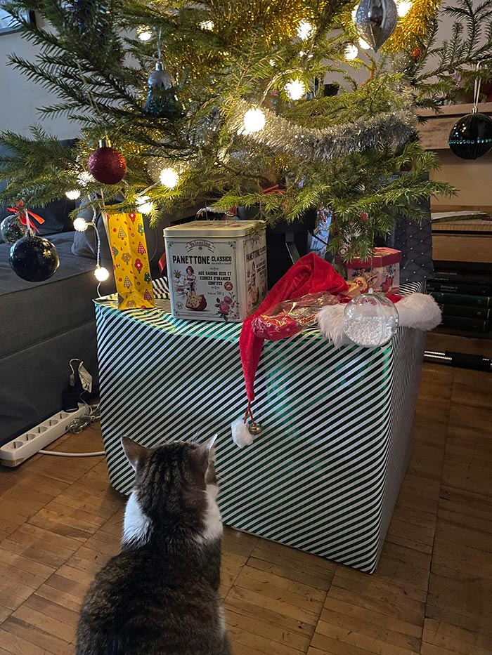 Huge Present That Acts As A Tree Stand