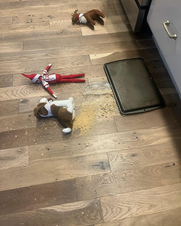 They Were Supposed To Be At The Beach, Until Louie The Bernedoodle Made It Onto The Countertop