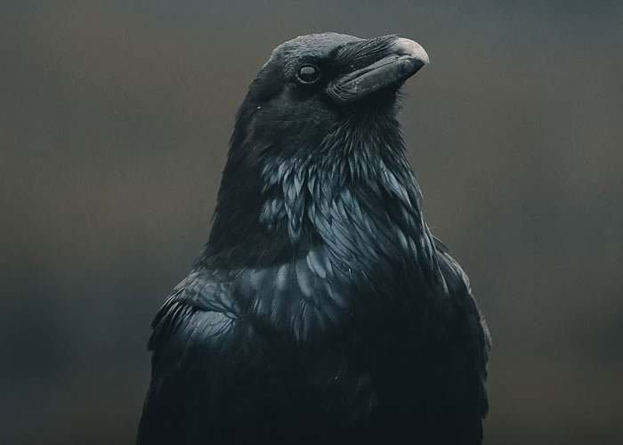 35 People Share The Wildest Things They Witnessed In The Baby Delivery Room