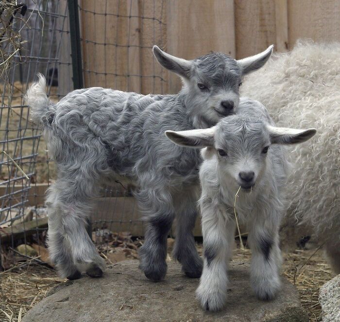 Someone In This Online Group Asked “What Is The Moment When You Realized, ‘My Teacher Is An Idiot?’” And 30 Folks Delivered