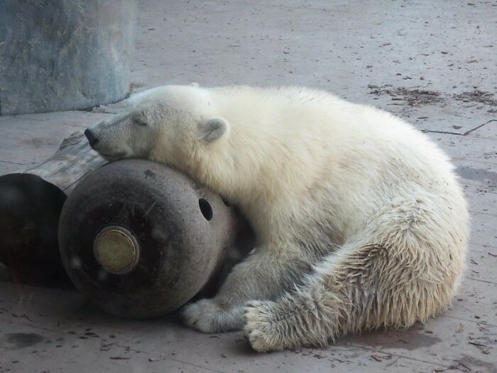 People In This Online Community Shared 30 Cringy Pickup Lines That Actually Are Quite Funny