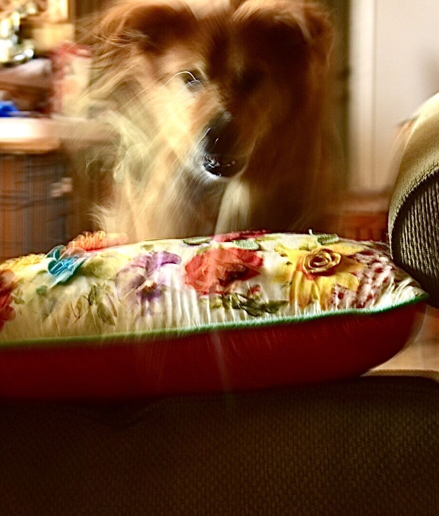 I Took These Photos, And I&rsquo;m Very Proud Of Them!