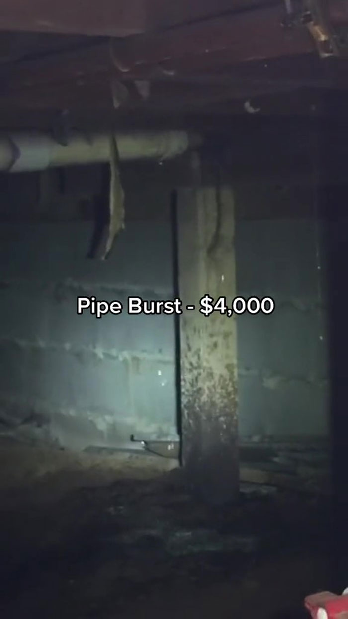 Woman Buys A House From Hell Where Random Disasters Keep Happening Which, In The End, Gets Destroyed By A Huge Tree Falling On It 