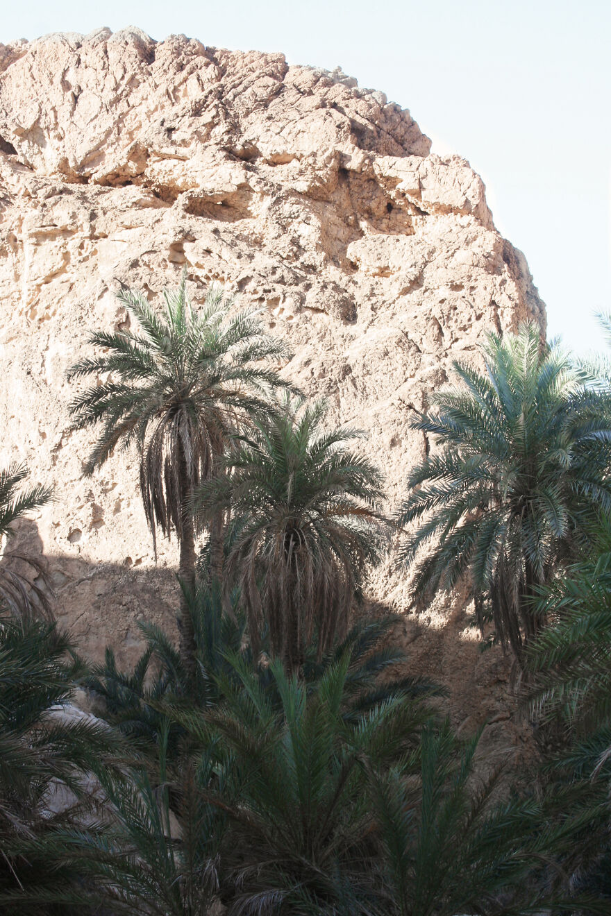 Waters Of Bangladesh