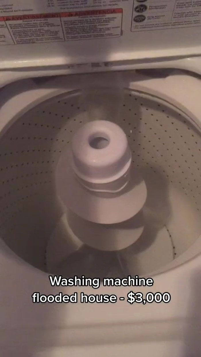 Woman Buys A House From Hell Where Random Disasters Keep Happening Which, In The End, Gets Destroyed By A Huge Tree Falling On It 