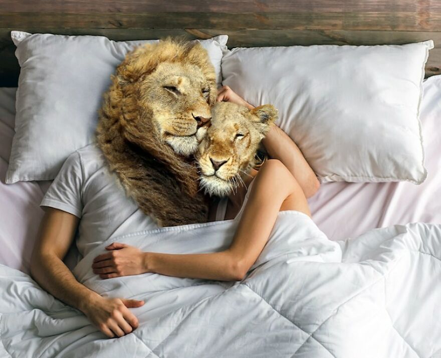 Looking At These Funny Collages, You're Going To Get A Brain Cramp (33 New Photos)