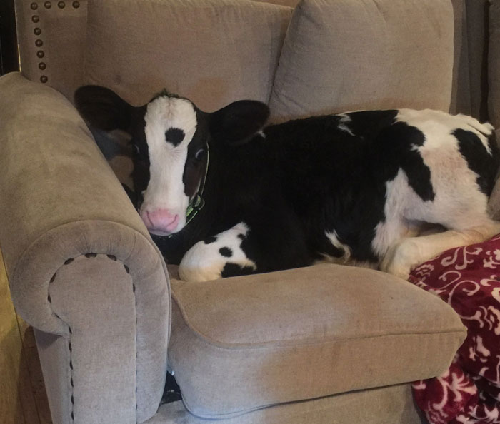 30 Unusual And Disturbing Things These People Saw At Someone Else's House