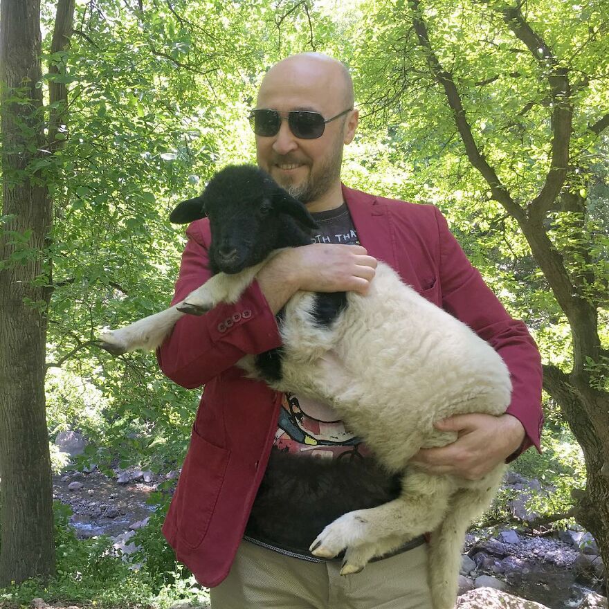 Este hombre transformó su granja en un refugio de animales con perros y gatos, pero también caballos, gaviotas y más