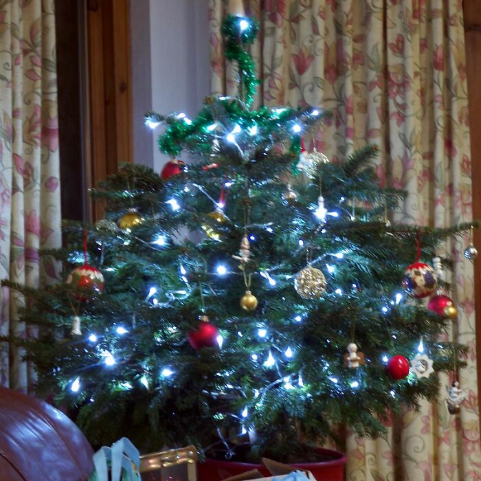 Folks In This Online Group Share 30 Things They Are Repelled By During The Christmas Season