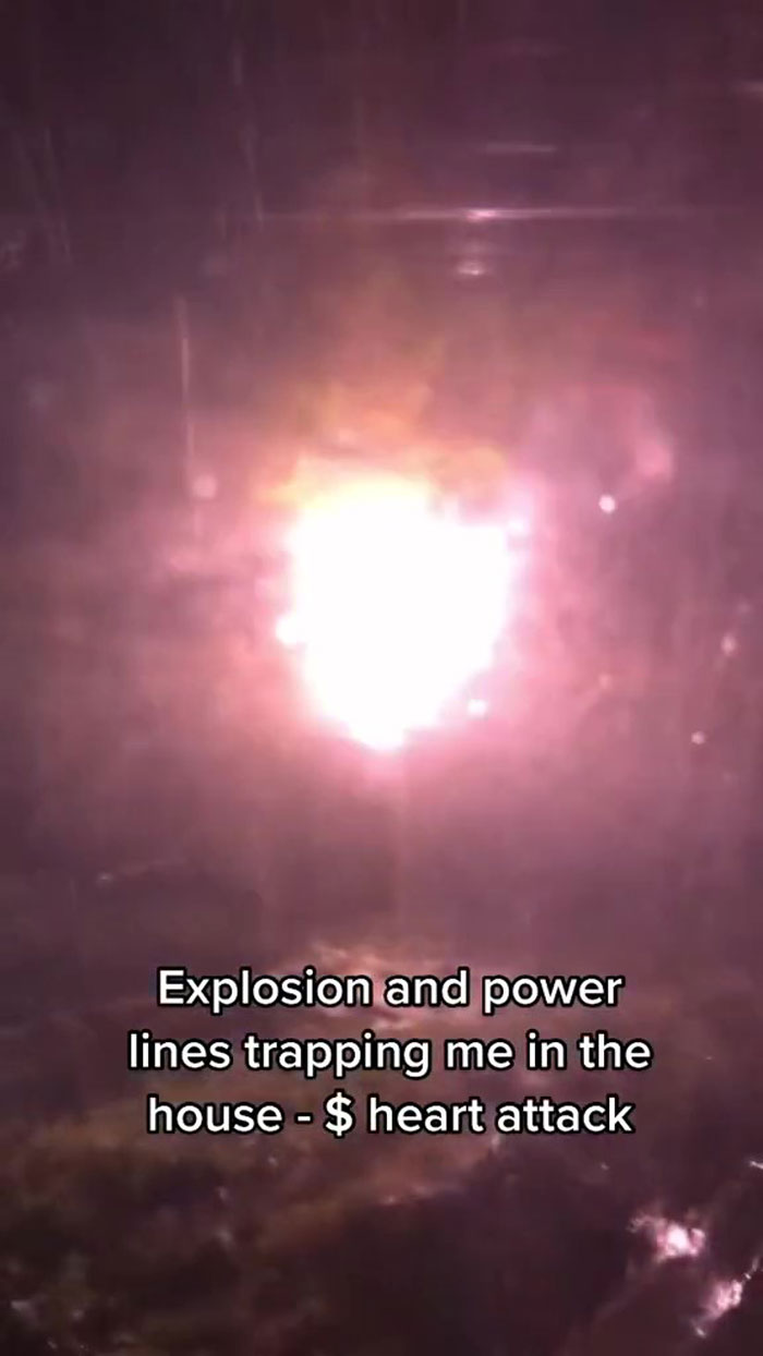 Woman Buys A House From Hell Where Random Disasters Keep Happening Which, In The End, Gets Destroyed By A Huge Tree Falling On It 