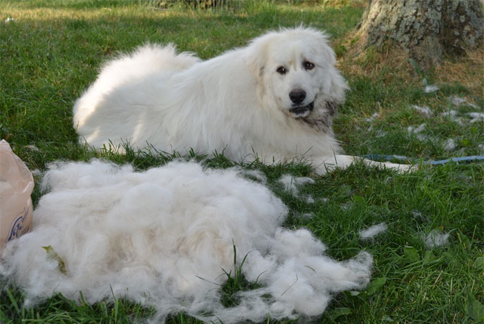 Someone In This Online Group Asked “What Do You Have Too Much Of?” And 30 Folks Delivered