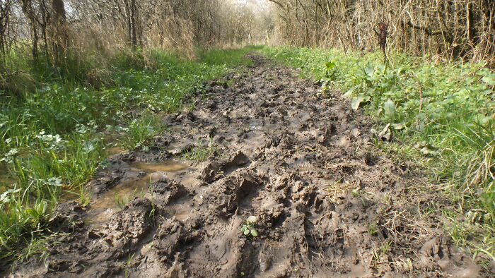 Someone Online Asked, ‘What Do People Pretend Is In The Bible But Is Absolutely Not In The Bible?’ And 25 People Delivered