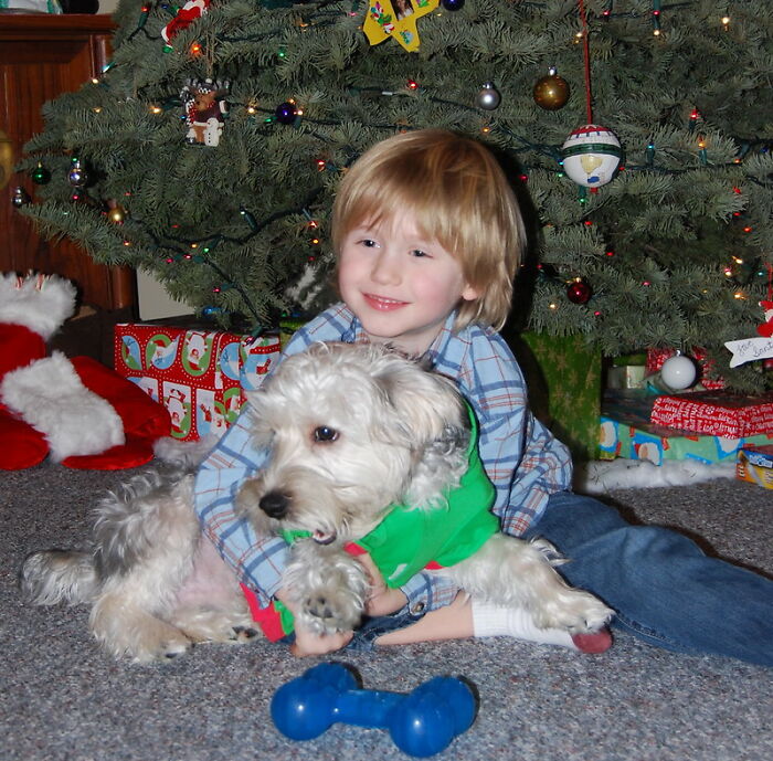 Alguien en este grupo online preguntó: "¿Cuál es tu historia de "por eso no voy a casa en Navidad"? Y 20 personas respondieron