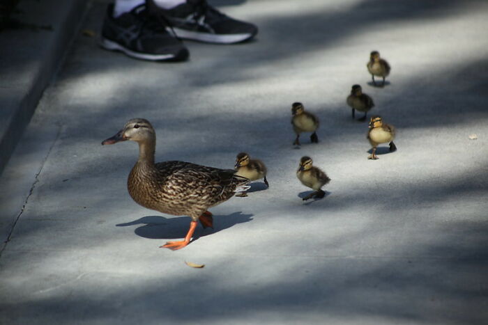 30 Answers Folks In This Online Group Had To The Question “What Is Something That Is Illegal But Isn’t Wrong Ethically?”