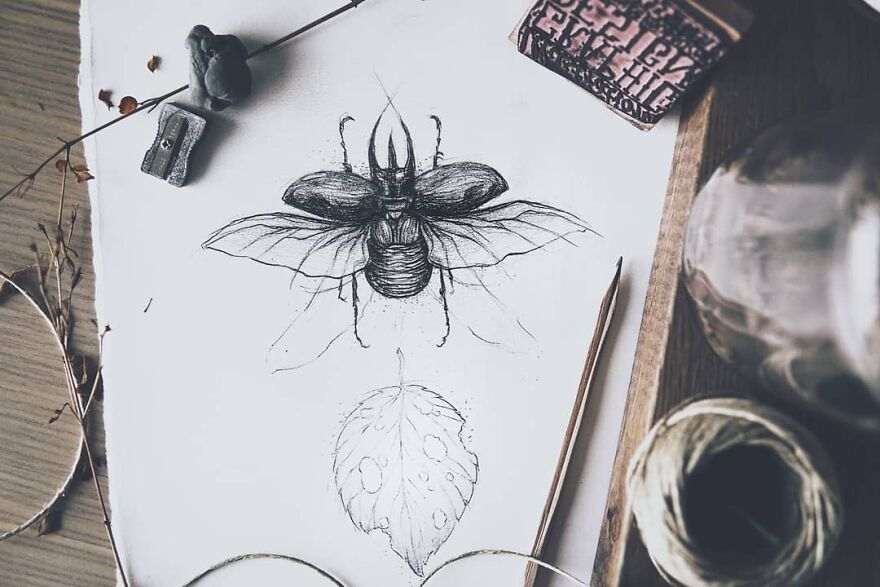 I Draw Stylized Animals In My Sketchbook