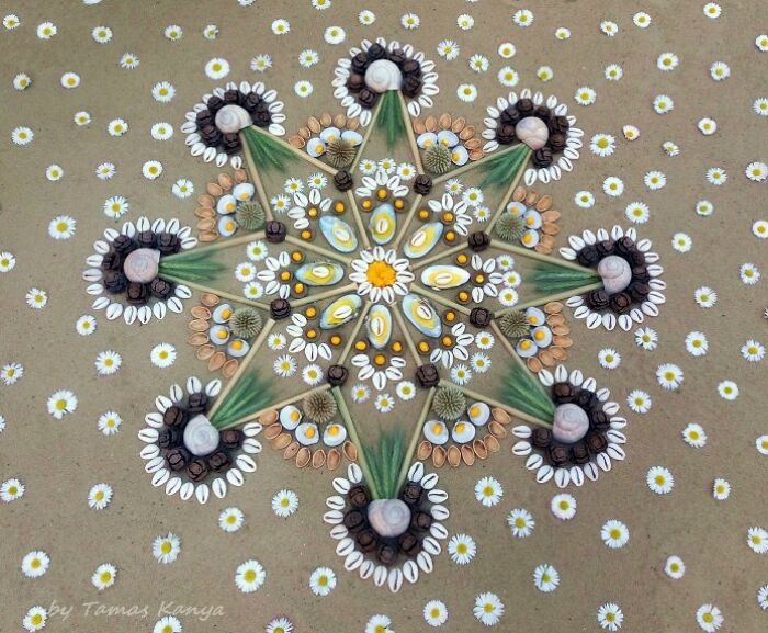 Land Art Mandala Compositions By Tamas Kanya