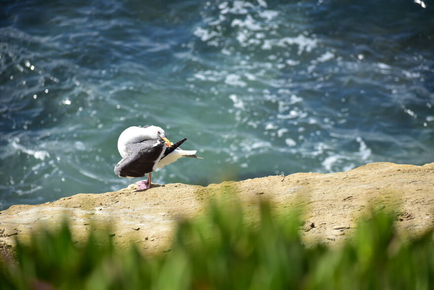 I Took These Photos, And I&rsquo;m Very Proud Of Them!