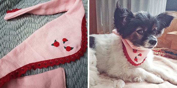 Made This For My Dog. He Wasn't Impressed Tho