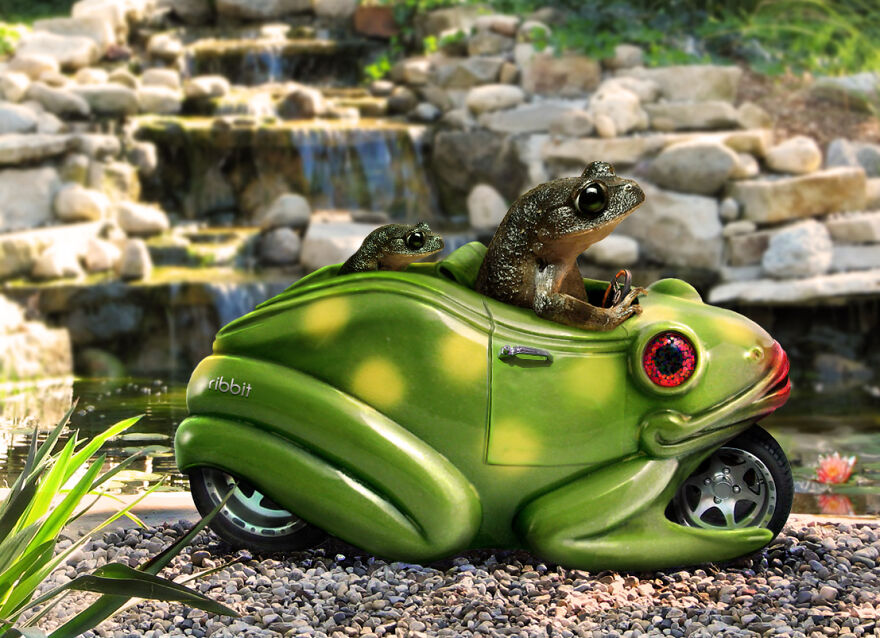 Digital Artists Are Challenged To Photoshop Frogs And Here Are The 30 Best Images