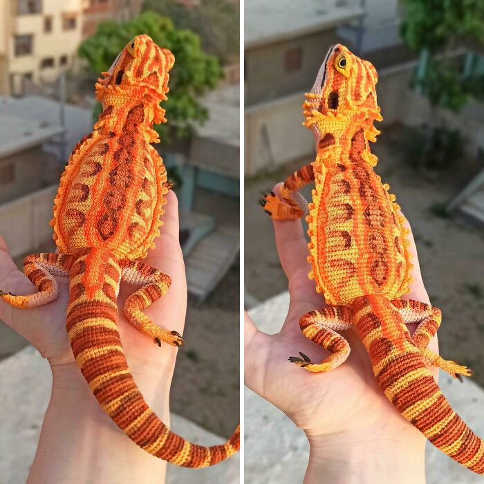Esta pogona está hecho en hilo de dos colores diferentes y también lo he pintado. Los ojos están hechos a mano 