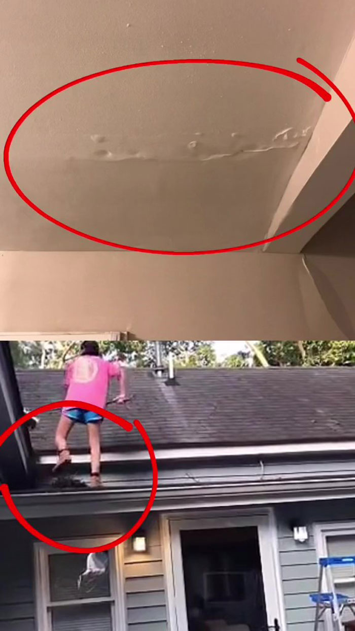 Woman Buys A House From Hell Where Random Disasters Keep Happening Which, In The End, Gets Destroyed By A Huge Tree Falling On It 