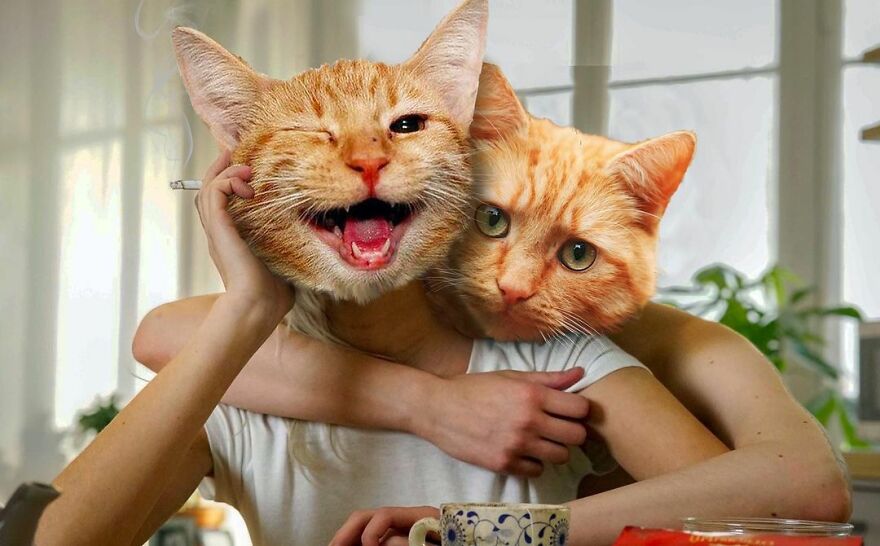 Looking At These Funny Collages, You're Going To Get A Brain Cramp (33 New Photos)