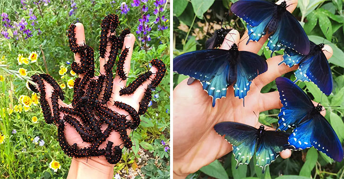 30 New ‘Today I Learned’ Facts That Prove It’s Never Too Late To Learn Something New