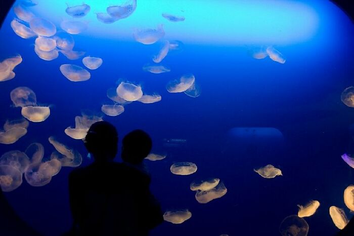 "¿En qué momento te diste cuenta de que tu profesor era idiota?":20 personas responden