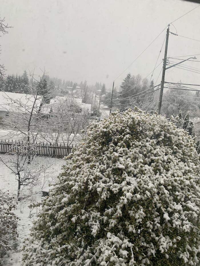 View From My Room Bc Canada. ( All Gone Now:( )