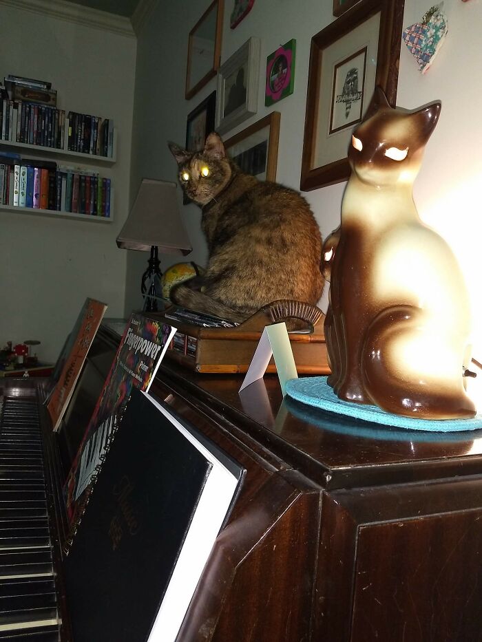 She Stares Into Your Soul.