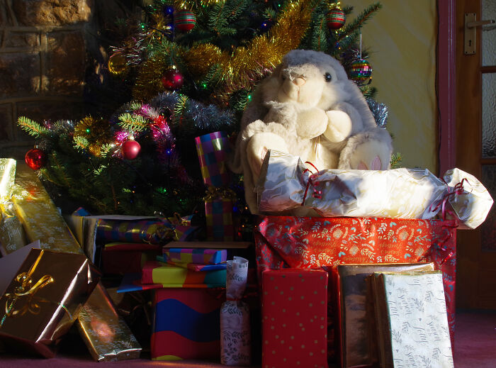30 Of The Worst Christmas Gifts People Ever Received, As Shared In This Online Group