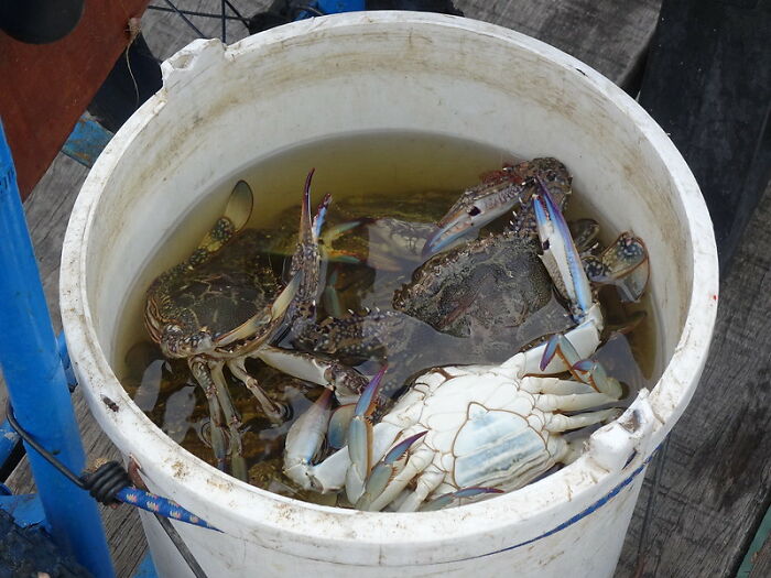 Someone In This Online Group Asked, “What’s Your ‘That’s Why I Don’t Go Home For The Holidays’ Story?” And 30 Folks Delivered