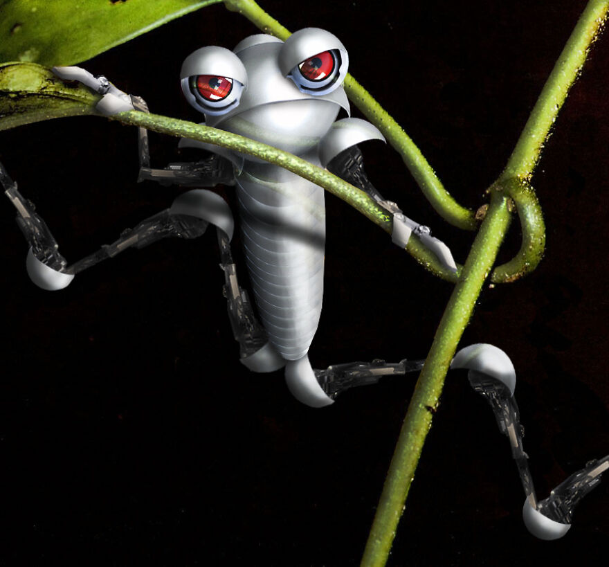Digital Artists Are Challenged To Photoshop Frogs And Here Are The 30 Best Images