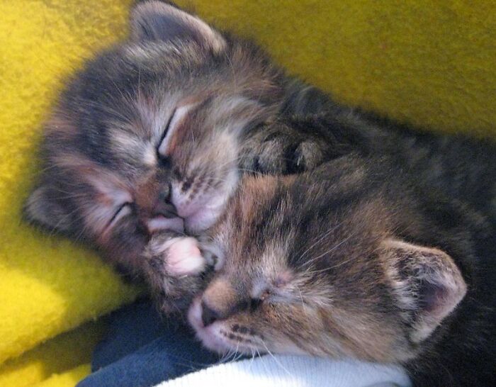 Former Prisoners, Their Friends And Family Share 25 Things Nobody Tells You About Being Incarcerated That They Had To Learn On Their Own