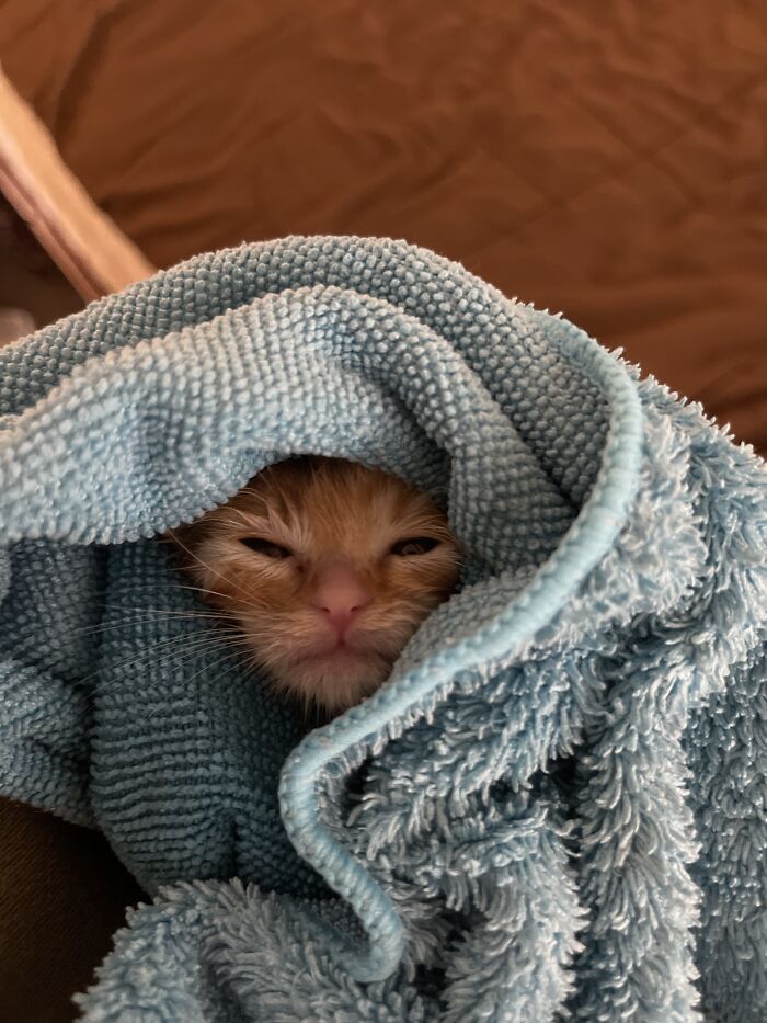 Just Wait Til I’m Bigger, Hooman