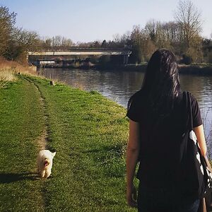 simsecretsamel avatar