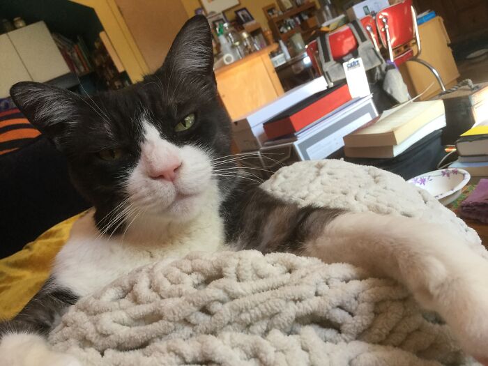 Pippi Just Before She Bites...