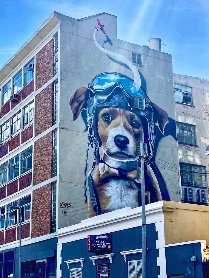 Taken In Cape Town On My Walk To Work. Always Brightens My Day.