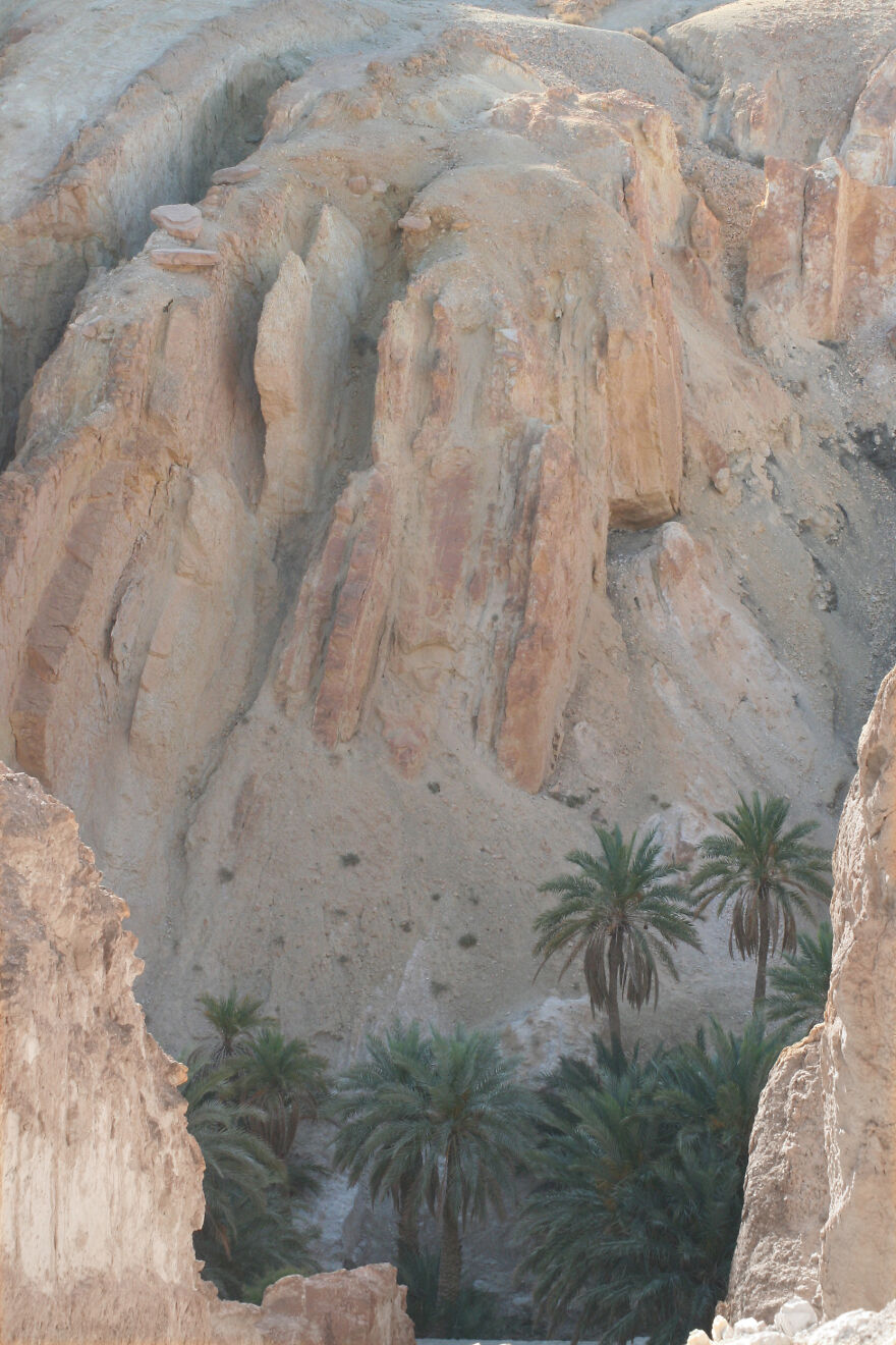 Waters Of Bangladesh