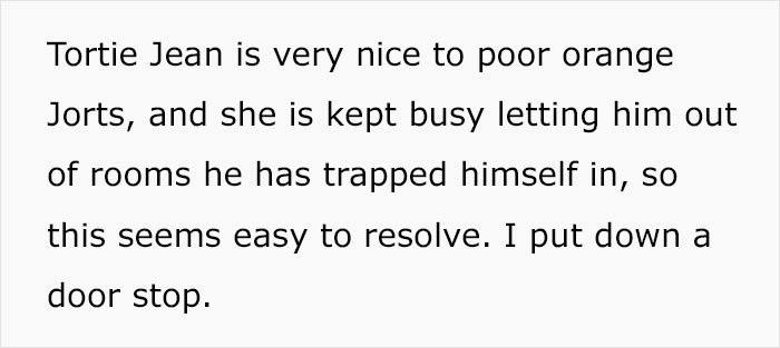 Colleague Makes Woman Cry By Saying One Of The Office Cats Is Dumb And The Matter Reaches HR