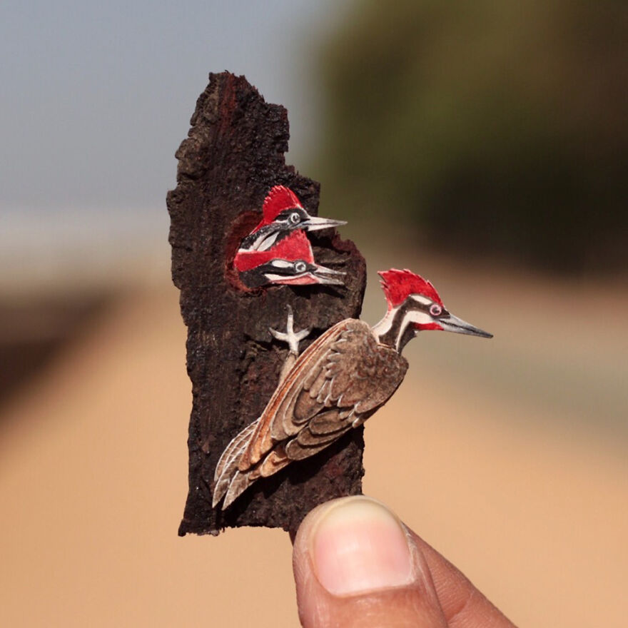 Pileated Woodpecker