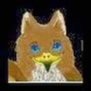 aliciagriffonlady avatar