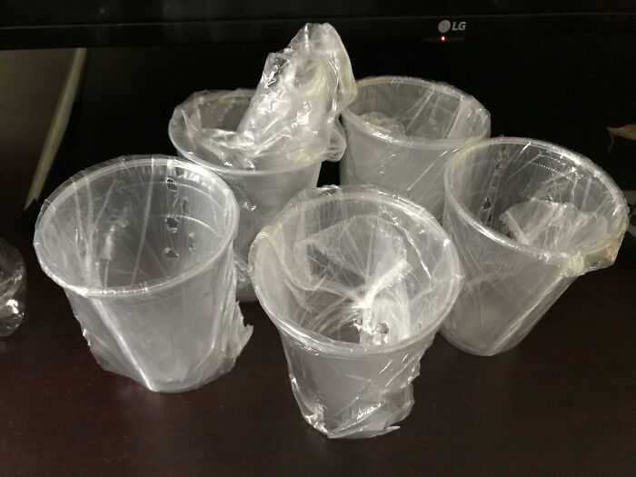 The Hotel I’m Staying At Has Individual Plastic Packaging For Each Plastic Cup