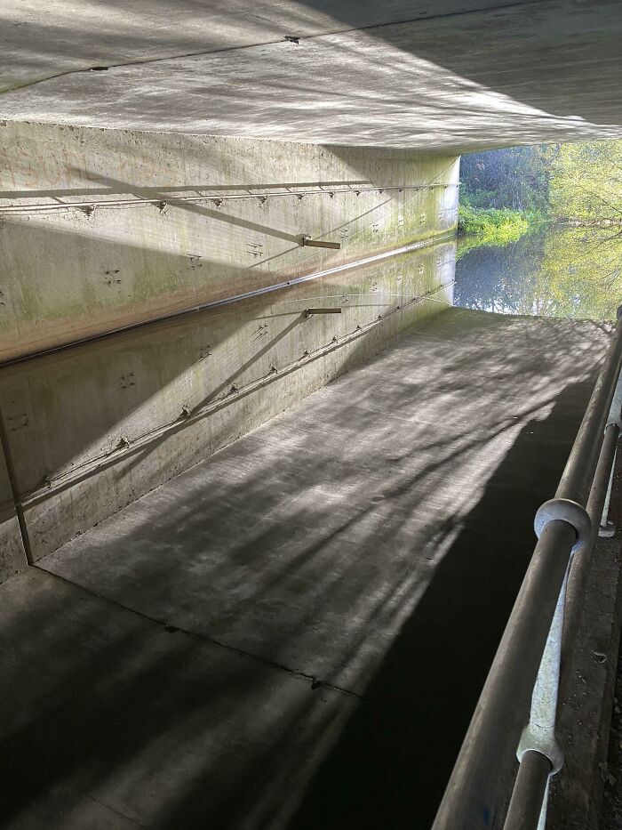 The Water Looks Deep And Crystal Clear But Actually It’s Just Too Dirty To See Into At All