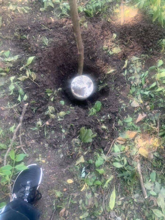 A Little Disk In The Ground Covered In Dirt