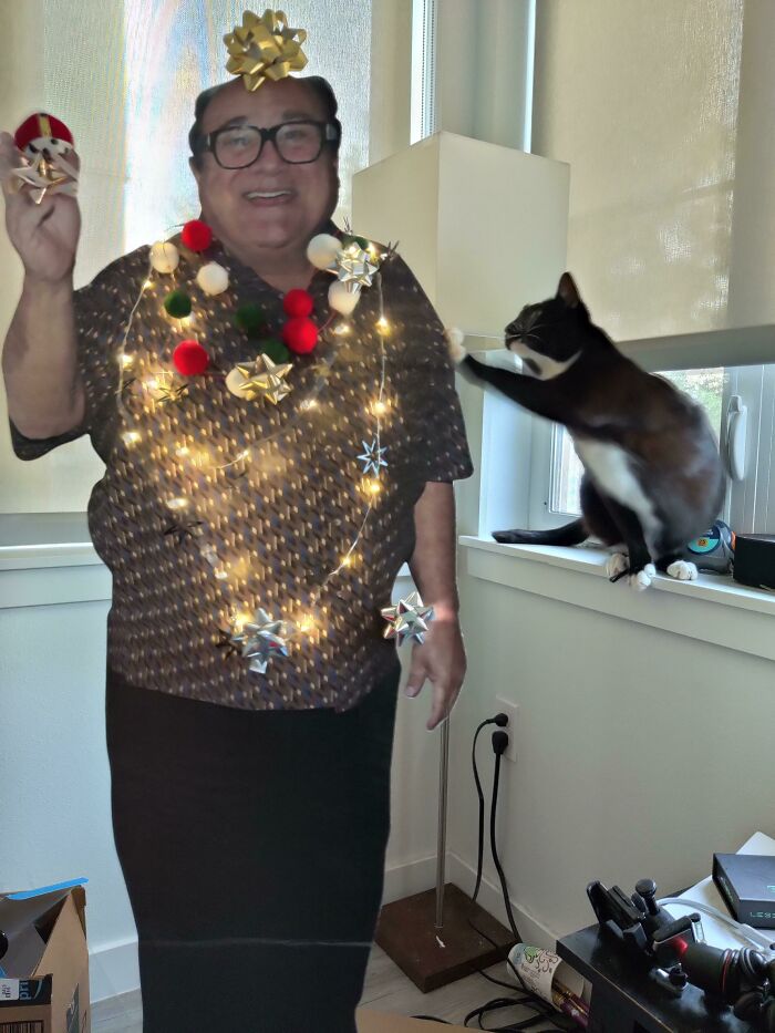 My Girlfriend And I Have A Tiny Apartment So We Made A Decorative Danny Instead Of A Christmas Tree