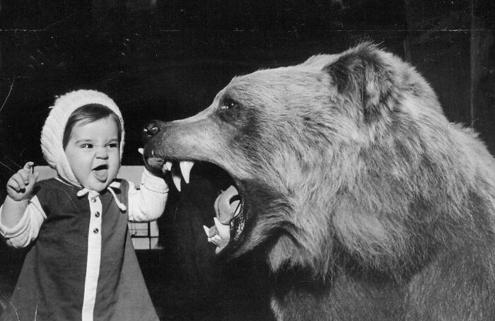 Niña rugiendo a un oso pardo disecado en el Sportsman's Show del Chicago Coliseum. Chicago, Illinois, 1967