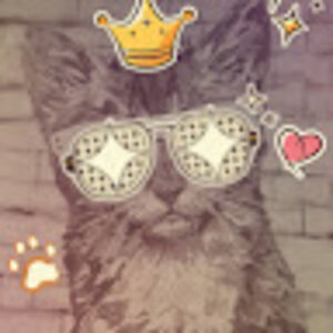 tianasciberras avatar